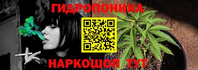 spice Кунгур