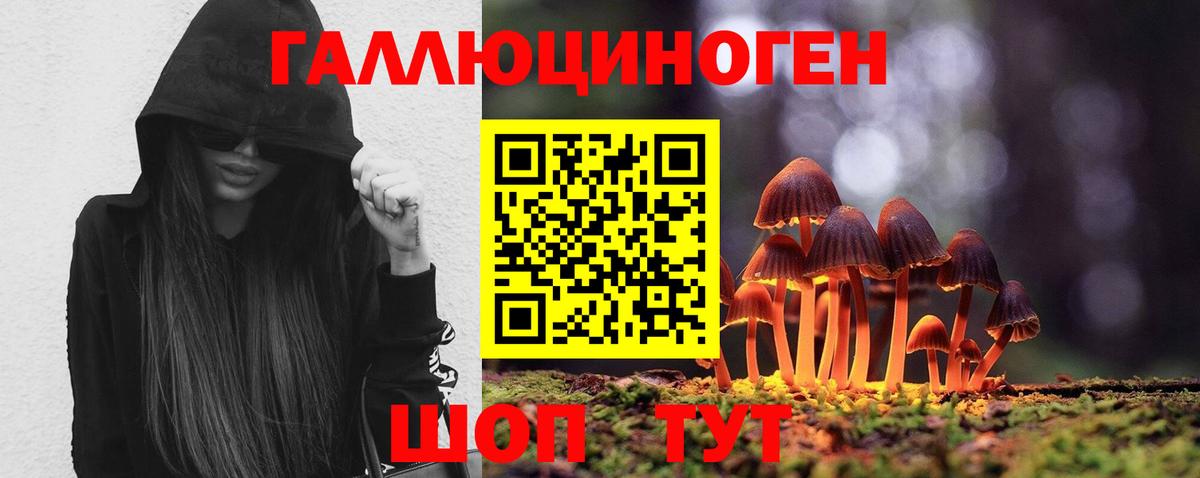 Псилоцибиновые грибы ЛСД Звенигород