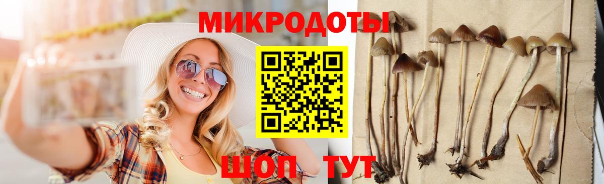 купить наркоту  Вход с VPN  Псилоцибиновые грибы ЛСД  Звенигород  Галлюциногенные грибы MAGIC MUSHROOMS 